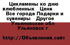 Цикламены ко дню влюбленных › Цена ­ 180 - Все города Подарки и сувениры » Другое   . Ульяновская обл.,Ульяновск г.